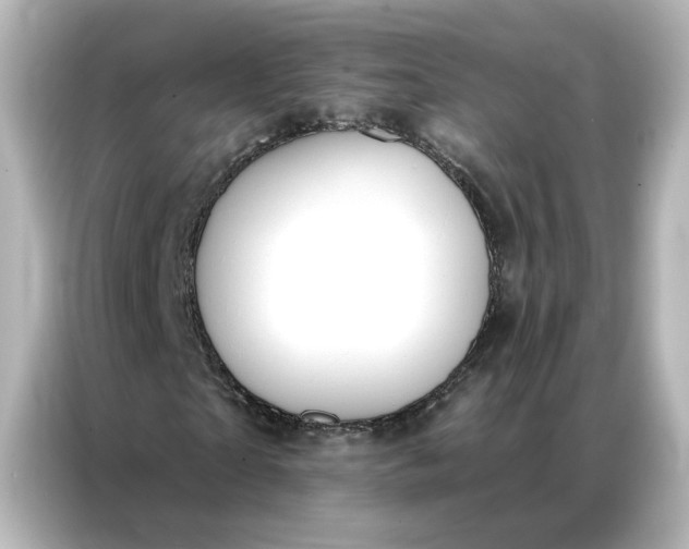 X0000086900865200704301015