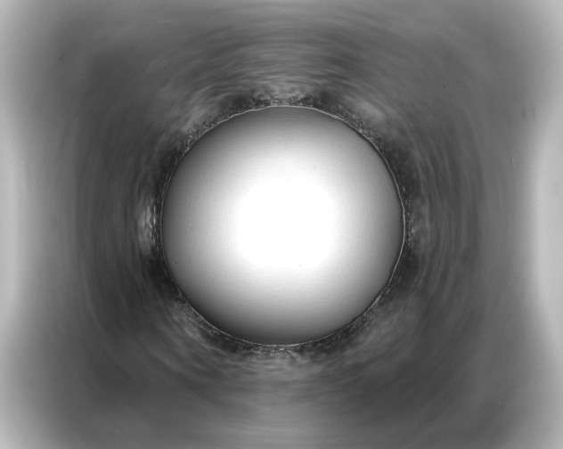 X0000086900866200704301015