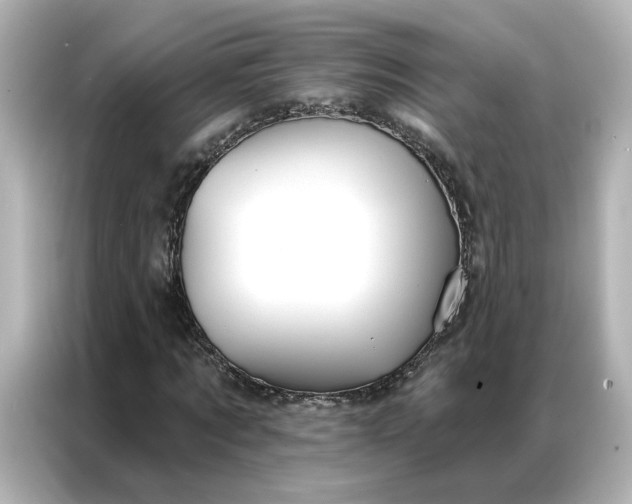 X0000086900869200704301015