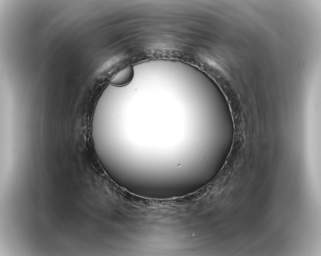 X0000086900870200704301015