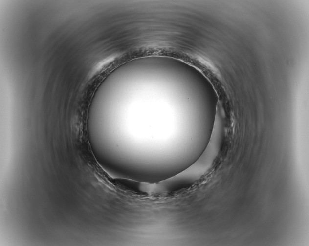 X0000086900872200704301015