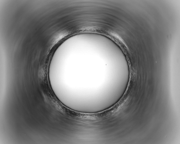 X0000086900874200704301015