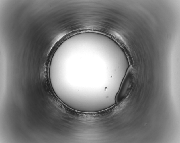 X0000086900875200704301015