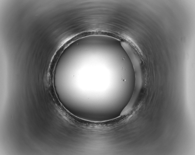 X0000086900876200704301015