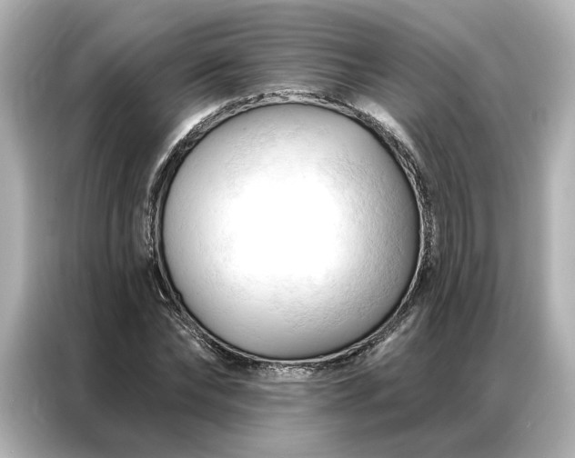 X0000086900878200704301015