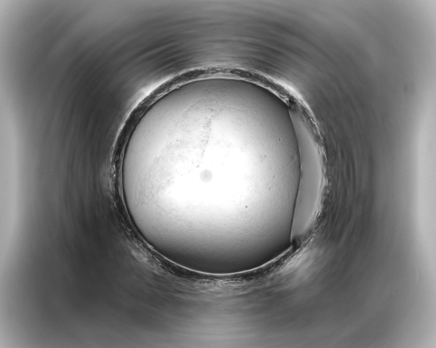 X0000086900879200704301015