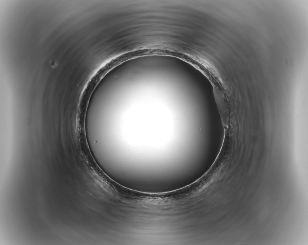 X0000086900880200704301015