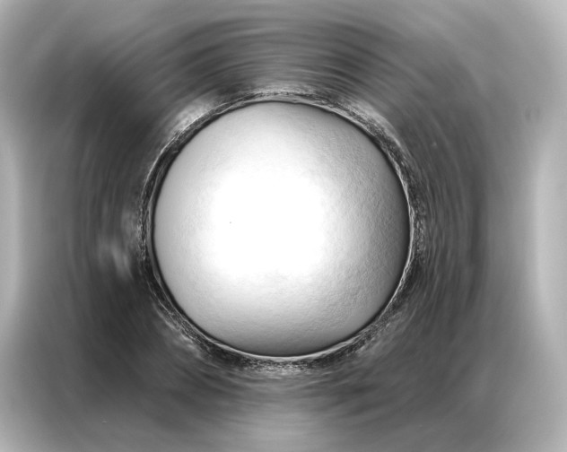 X0000086900882200704301015