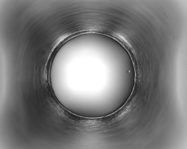 X0000086900883200704301015