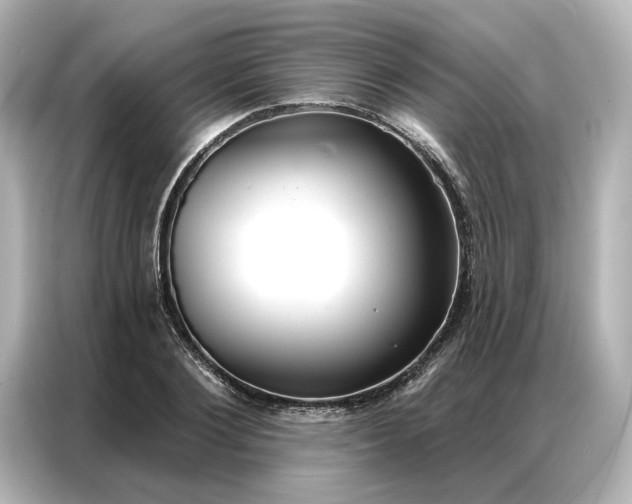 X0000086900884200704301015