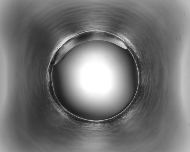 X0000086900885200704301015