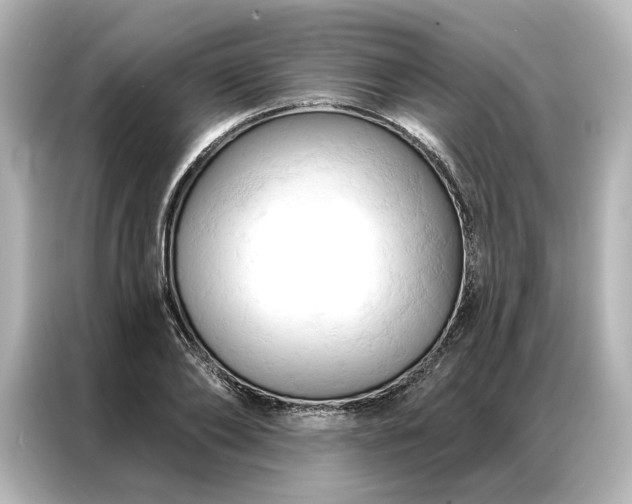 X0000086900886200704301015