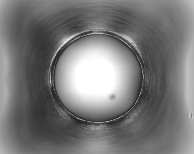 X0000086900887200704301015