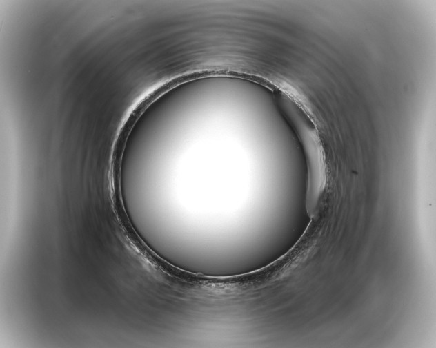 X0000086900888200704301015