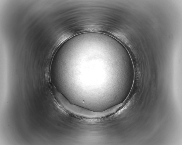 X0000086900889200704301015