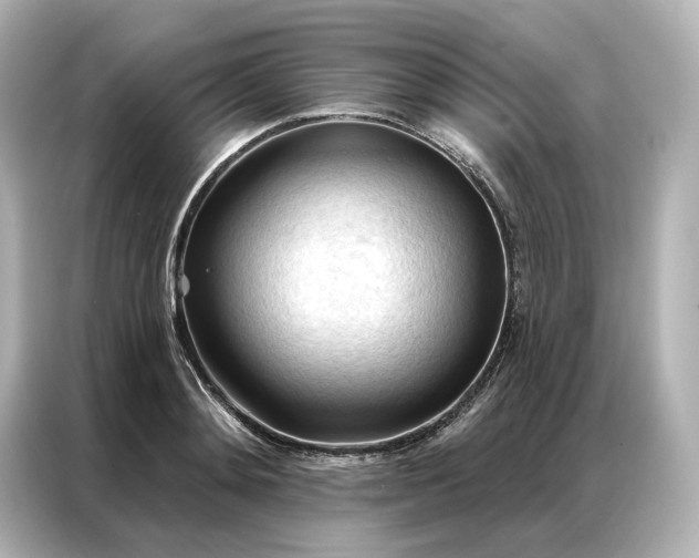 X0000086900892200704301015