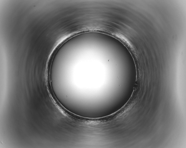 X0000086900894200704301015