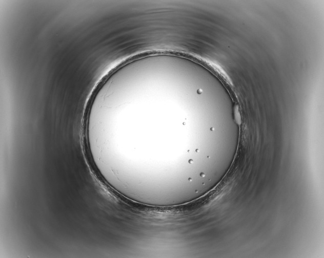 X0000086900895200704301015