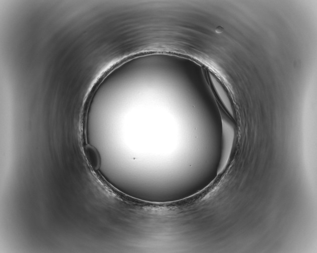 X0000086900896200704301015