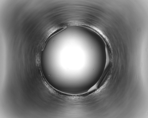 X0000086900897200704301015