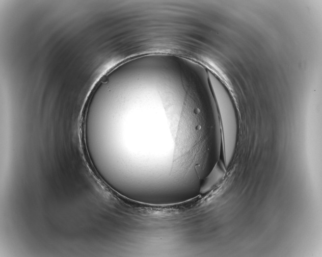 X0000086900899200704301014