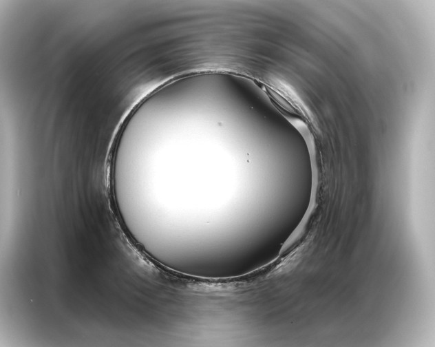 X0000086900900200704301014