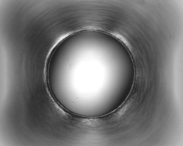 X0000086900902200704301014