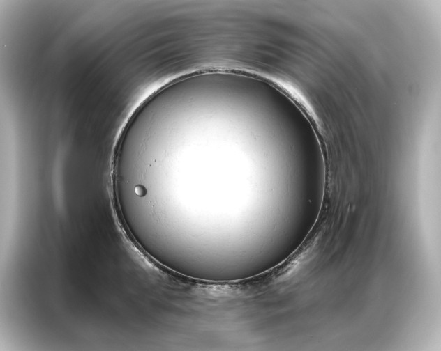 X0000086900903200704301014