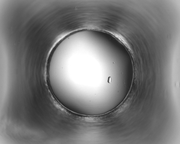 X0000086900904200704301014