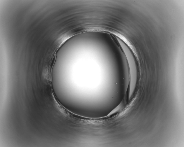 X0000086900905200704301014