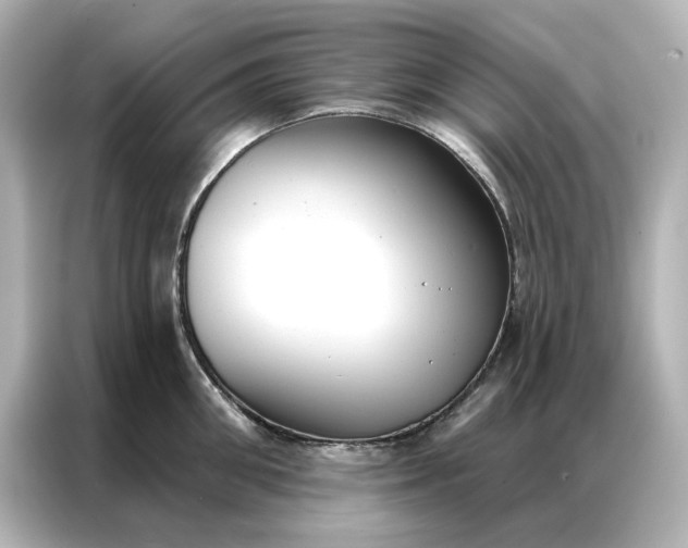 X0000086900906200704301014