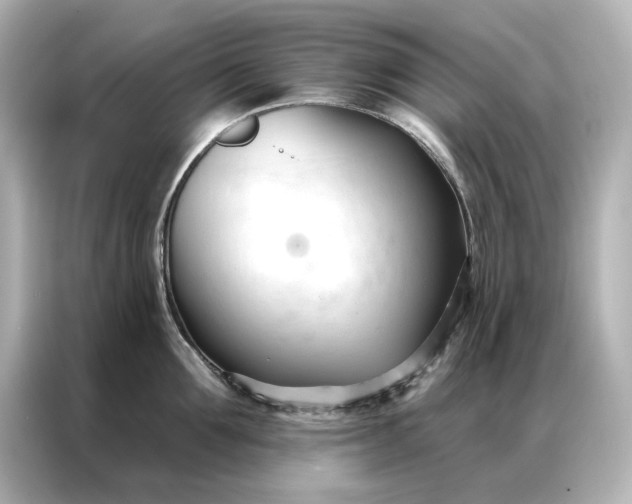 X0000086900907200704301014