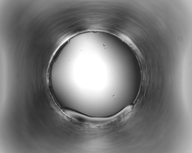 X0000086900908200704301014