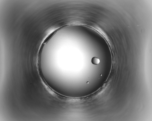 X0000086900909200704301014