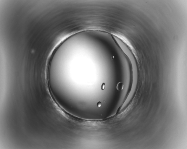 X0000086900910200704301014