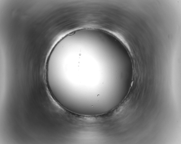 X0000086900911200704301014