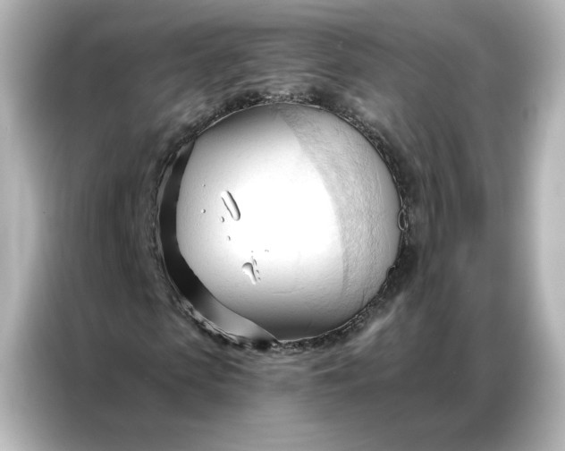 X0000086900913200704301014