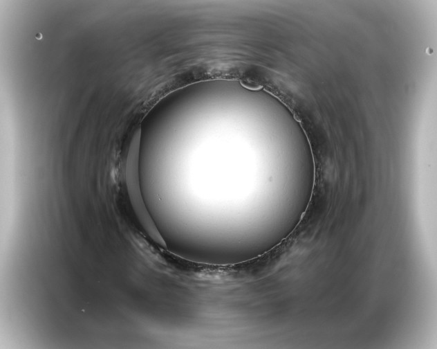 X0000086900914200704301014