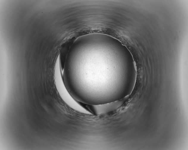 X0000086900916200704301014