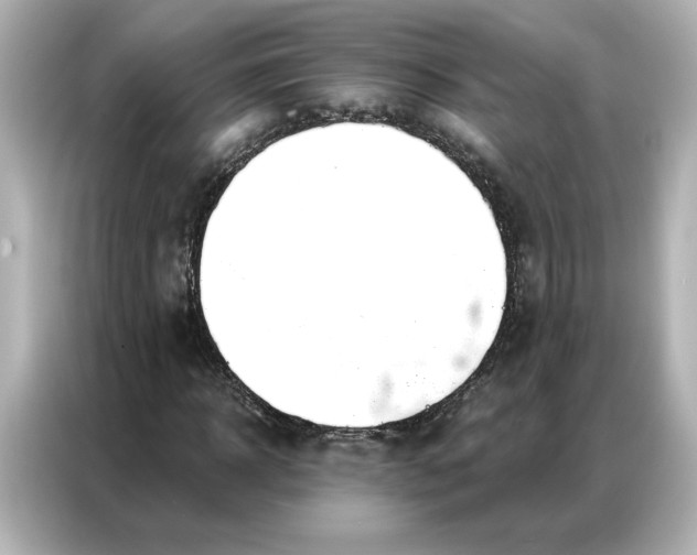 X0000086900918200704301014