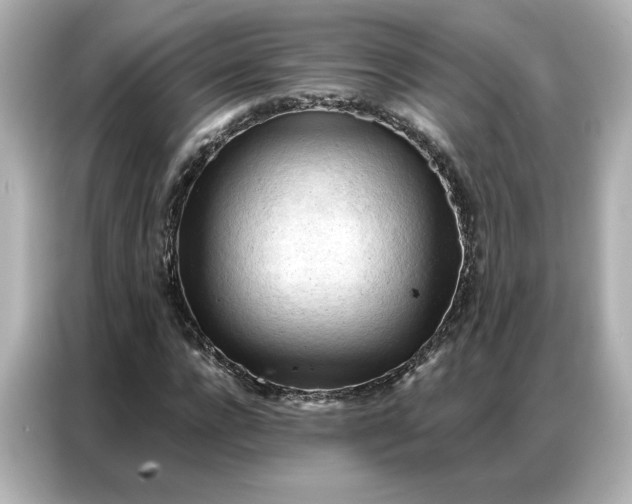 X0000086900920200704301014