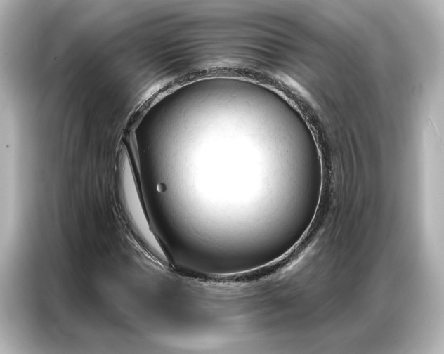 X0000086900921200704301014