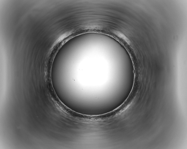 X0000086900922200704301014