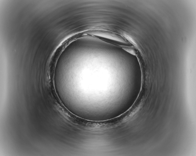 X0000086900923200704301014