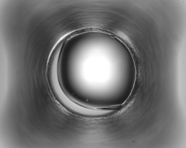 X0000086900924200704301014