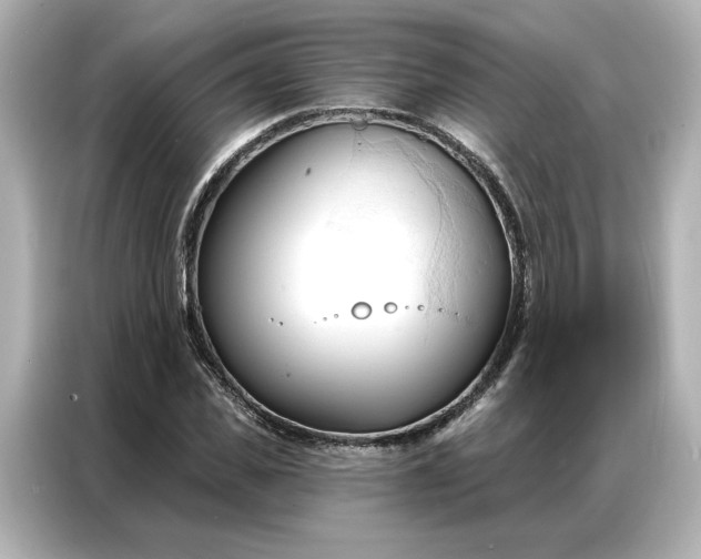 X0000086900925200704301014