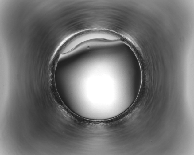 X0000086900926200704301014