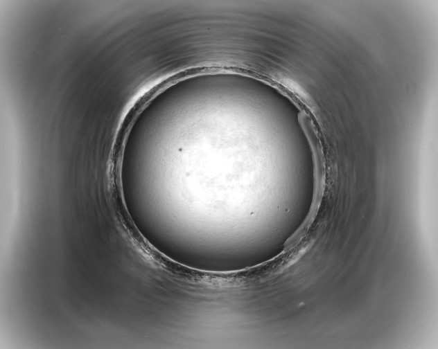 X0000086900928200704301014