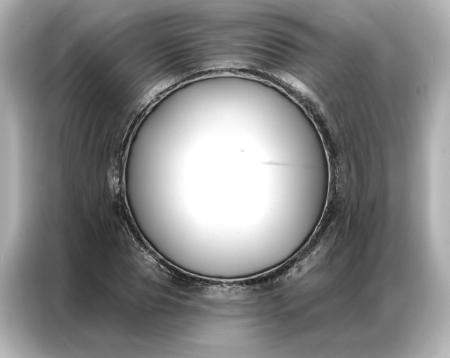 X0000086900929200704301014