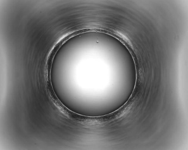 X0000086900931200704301014